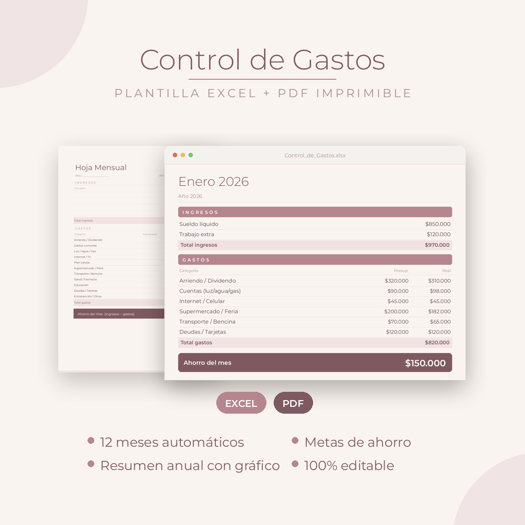 Planner Control de Gastos