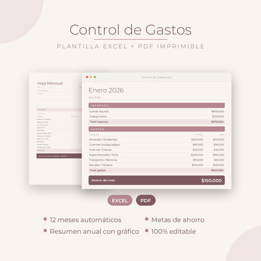 Planner Control de Gastos